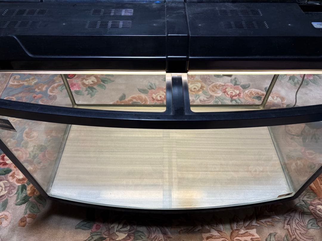 大きな水槽 蛍光灯照明付き