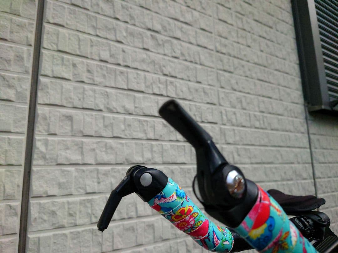 自転車本体 Bianchi ARIA TT