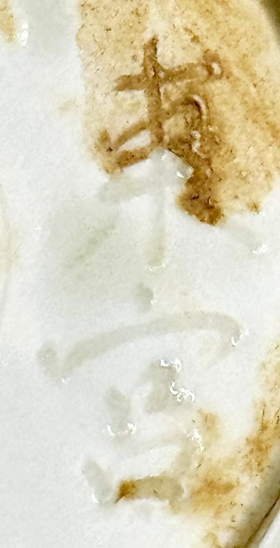 北宋時代 「東宮」銘 定窯白磁刻鳳凰花文銀縁平茶碗 骨董 古玩茶器WWTT007