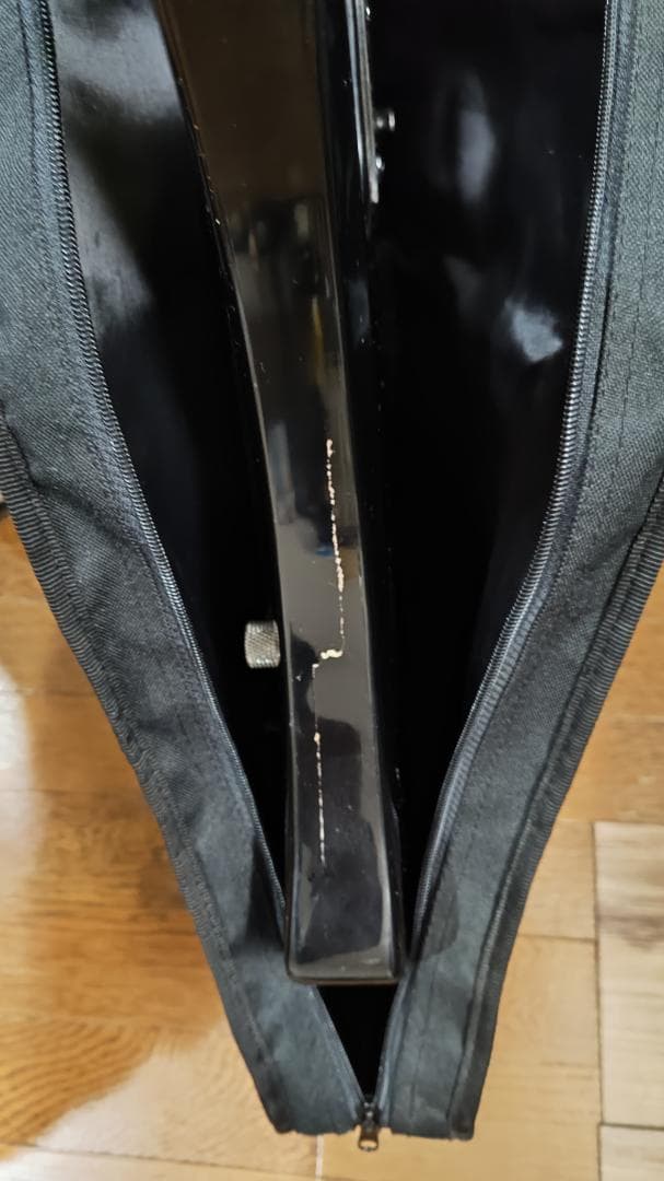 Flavor Electric Guitar エレキギター フレイバー