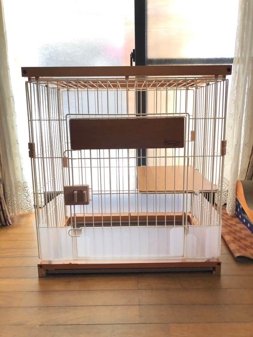 y キャットサークルシングル