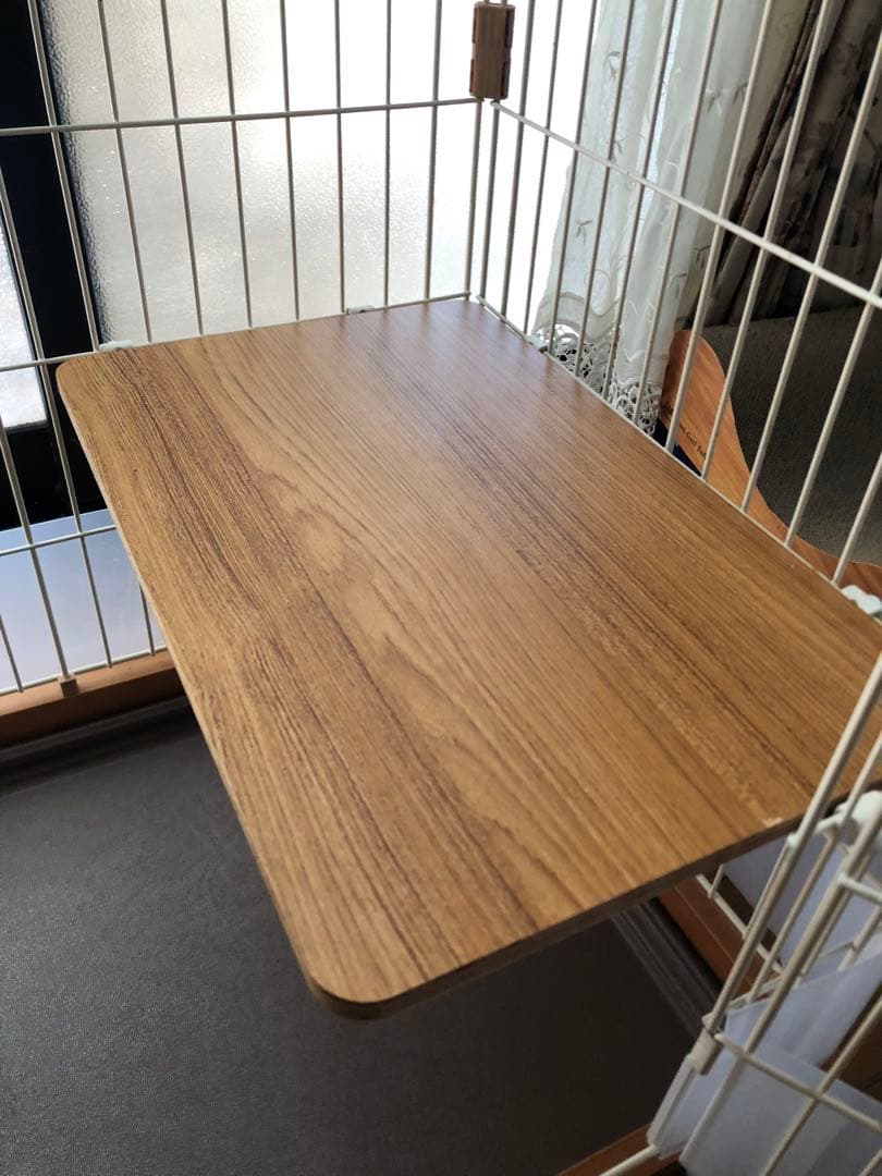 y キャットサークルシングル