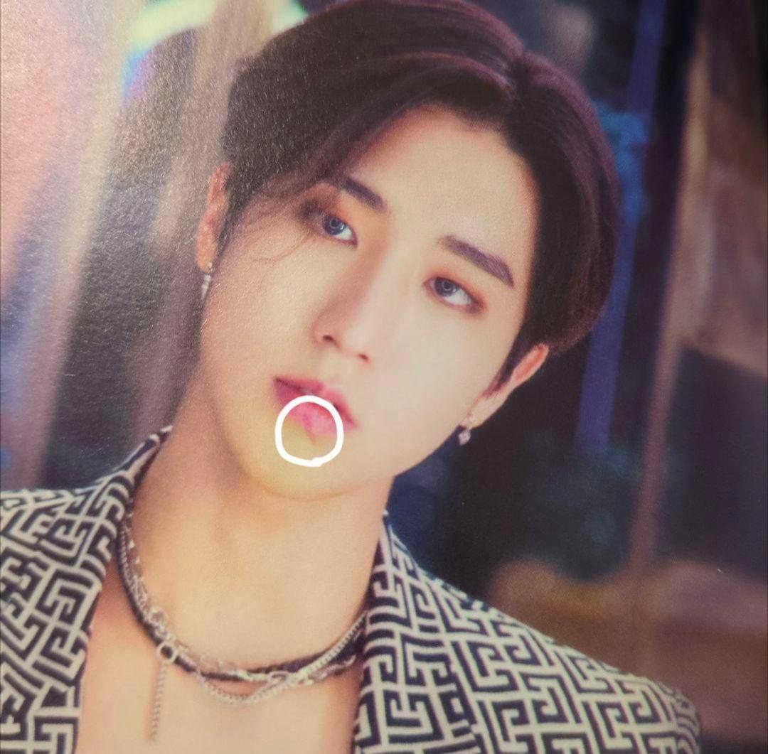 stray kids スキズ 写真集 まとめ売り