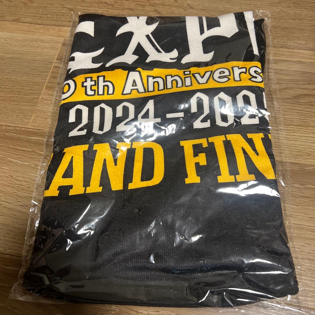 GLAY EXPO GF ランダムバラエティグッズ ブランケット