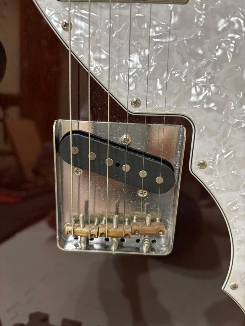 FGNフジゲンテレキャスターシンライン