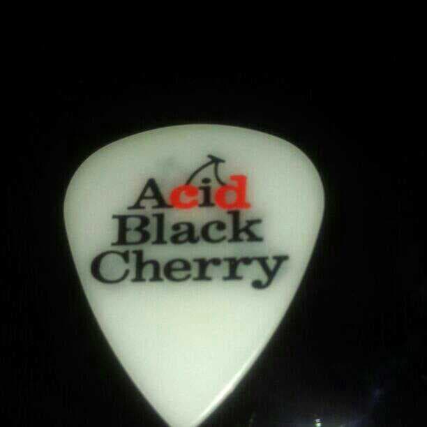 ミュージシャン Acid Black Cherrypick