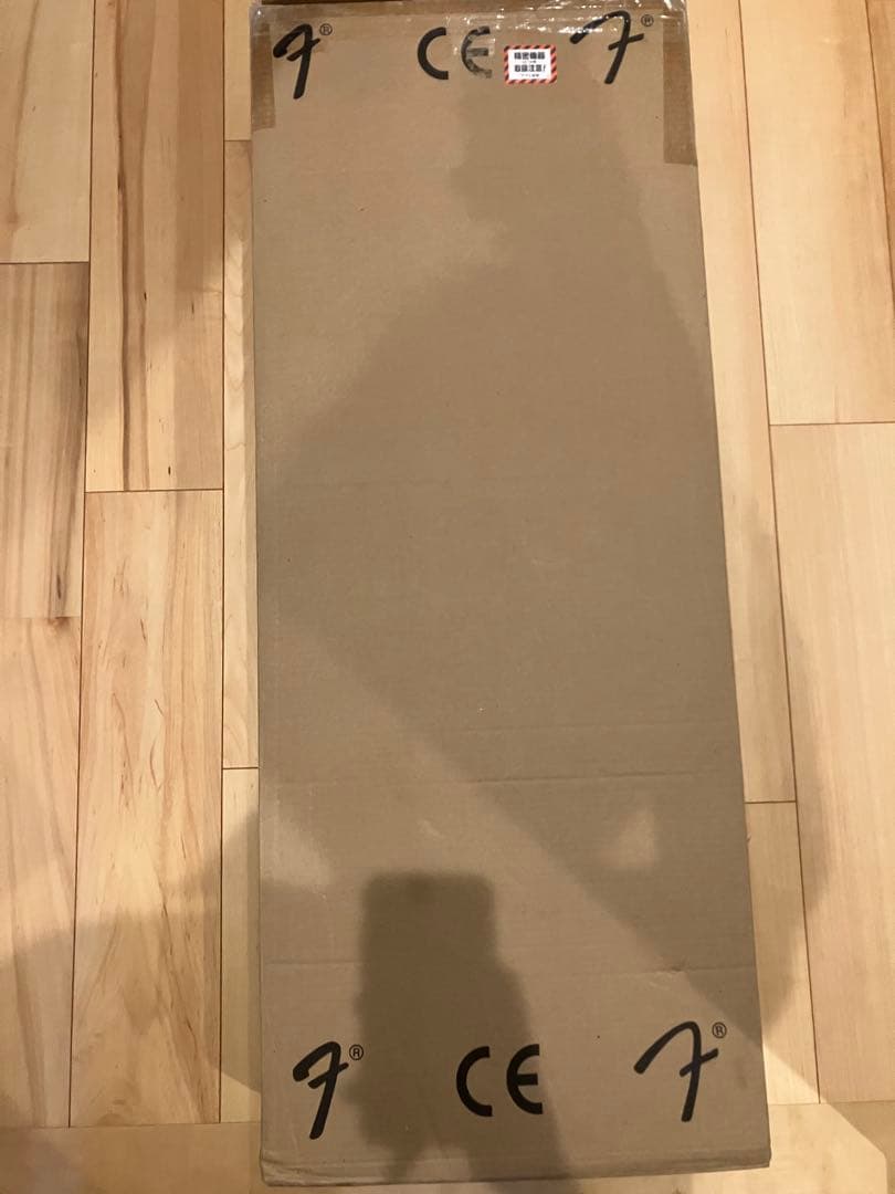 ギター Fender Player Stratocaster