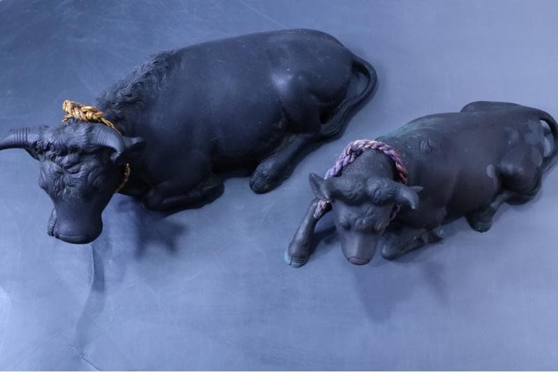 高岡銅器◆鋳銅古銅【夫婦牛】床置き　全幅33㎝/28㎝　重さ4.2キロ/2キロ