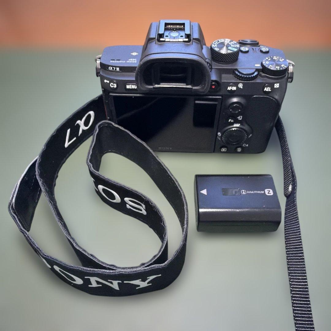 撮影枚数2854枚 SONY α7Ⅲ