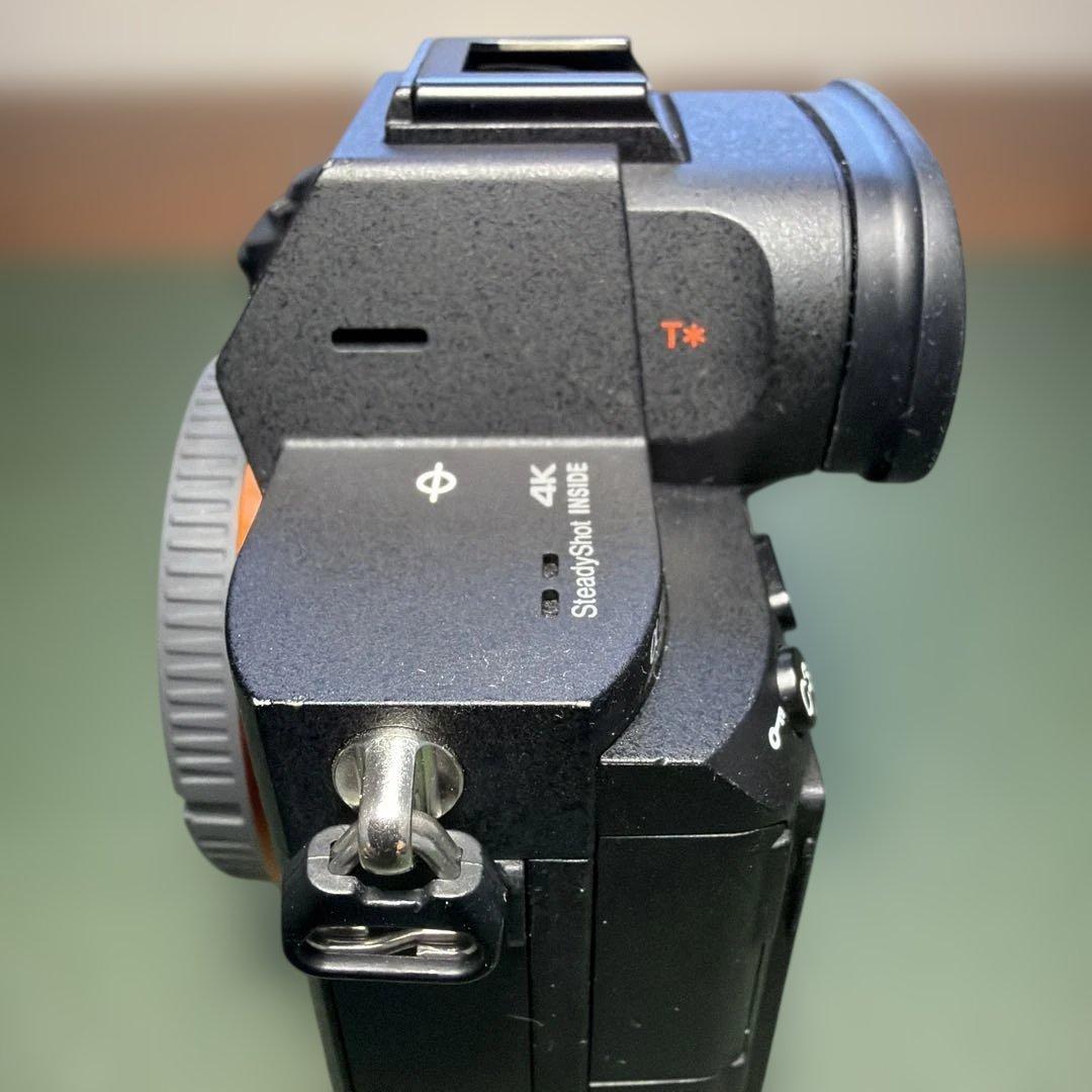 撮影枚数2854枚 SONY α7Ⅲ