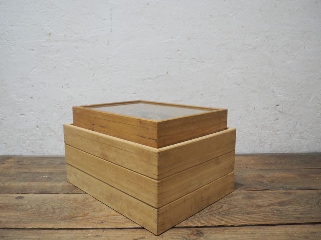 1391 ③蓋付 標本ケース(小1、大3)4個セット　貝殻　蝶々　トンボ　資料