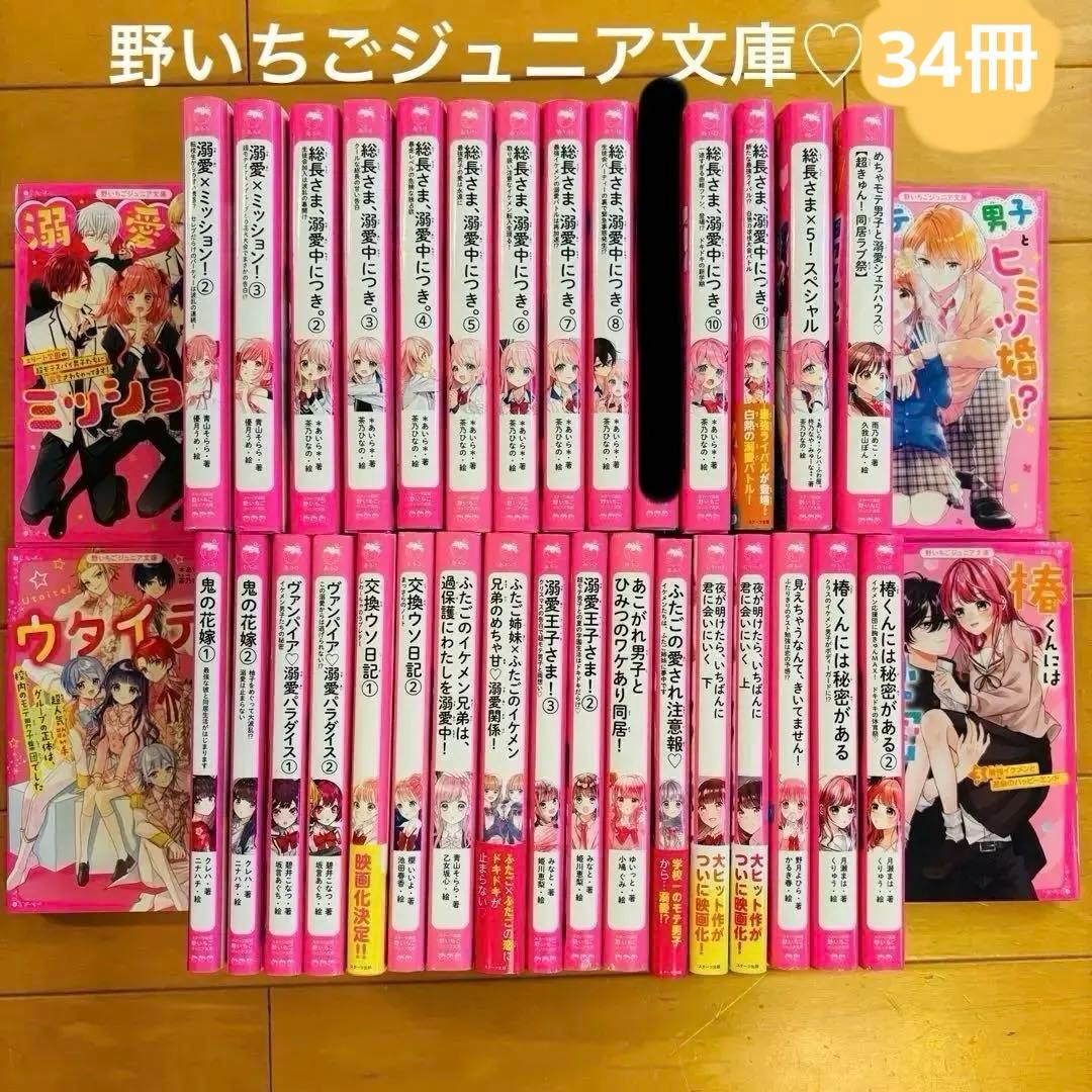野いちごジュニア文庫⭐︎溺愛⭐︎総長さま⭐︎ふたごシリーズなど34冊セット‼︎