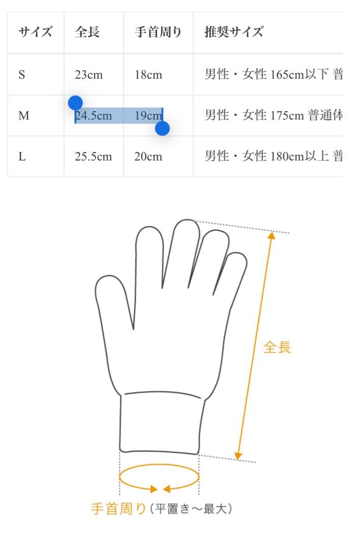 小物 ssstein Leather Glove BLACK (st.1181) M