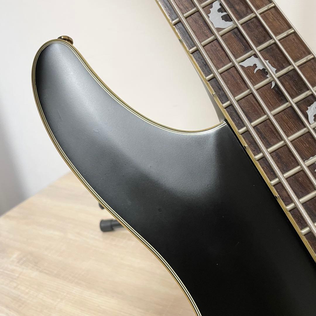 シェクター 5弦ベース DAMIEN PLATINUM-5 ブラック