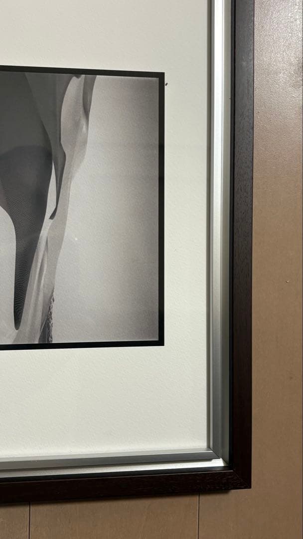 藤田一咲　『アース』　アートデコ　芸術写真　美術