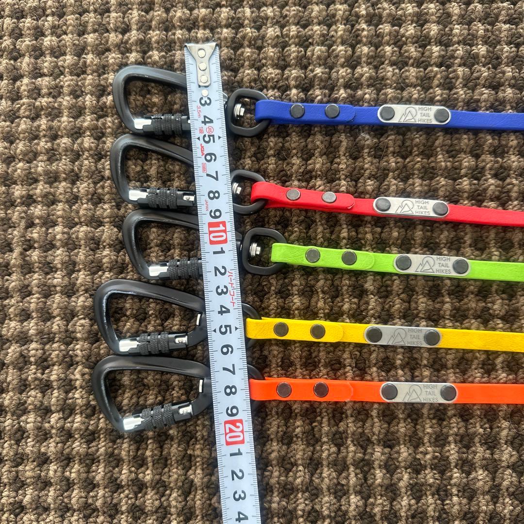 リード3点（赤、青、オレンジ）、TORACリード1点