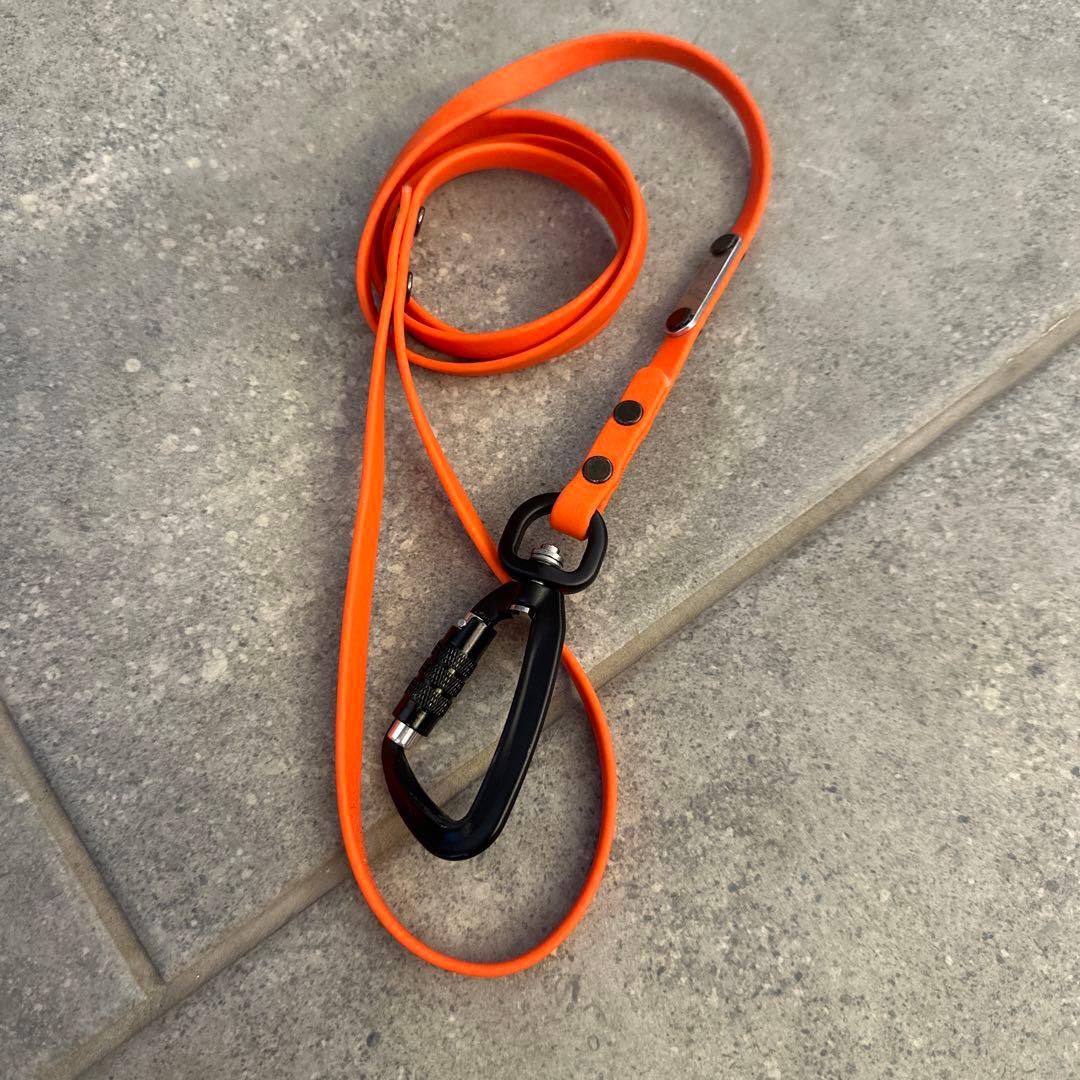 リード3点（赤、青、オレンジ）、TORACリード1点