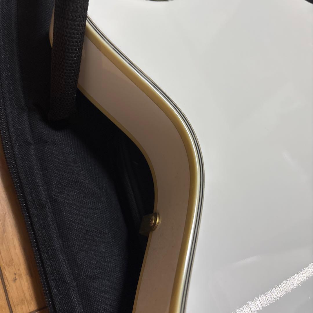 Fernandes エレキギター burny SRLC-55 SW