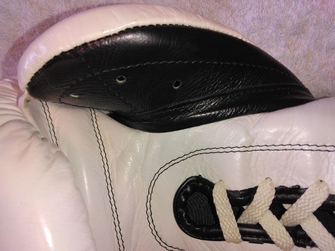 カサノバ、レイジェス　ボクシンググローブ