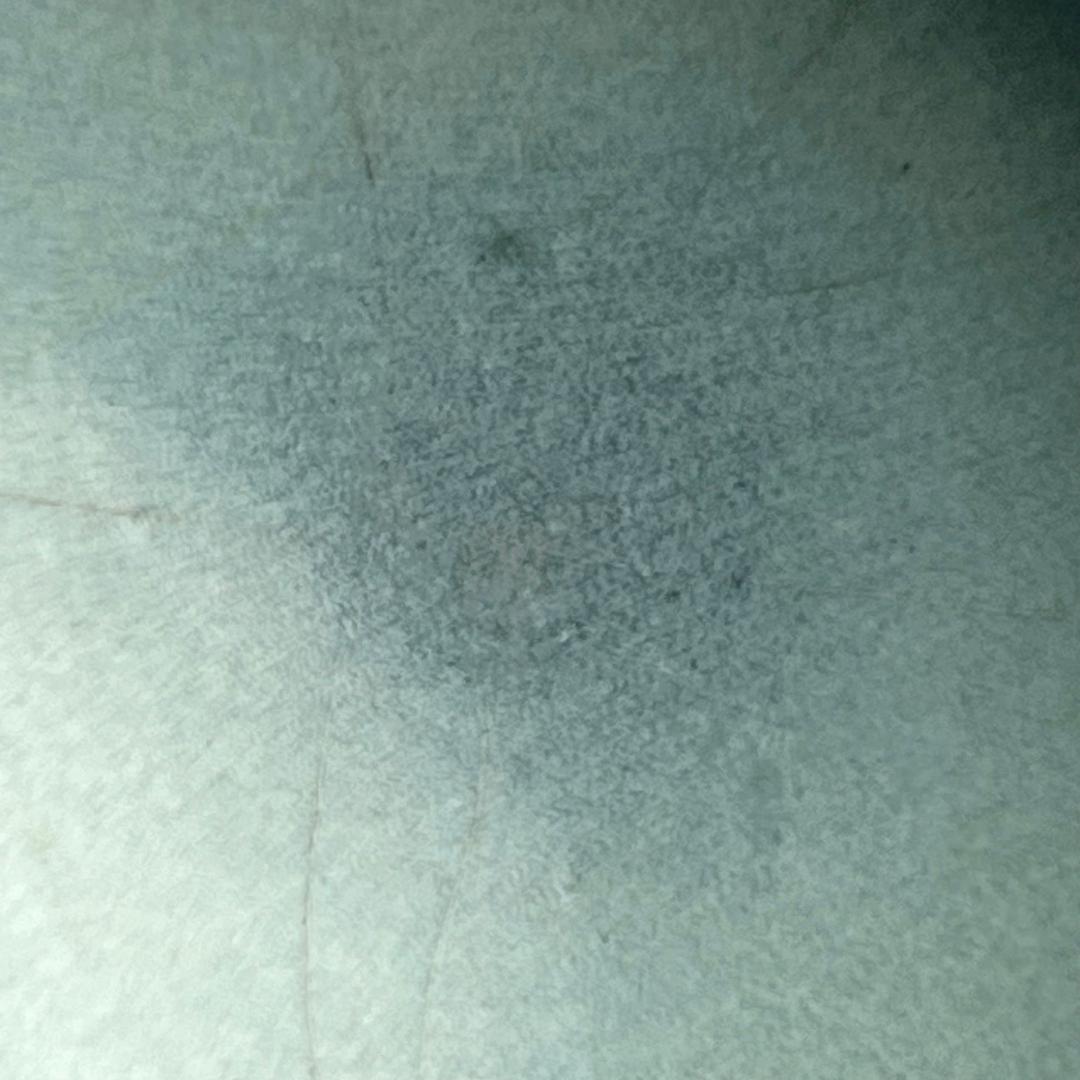 鈞窯天藍釉紫斑水洗 唐物 中国古玩 中国美術 A922