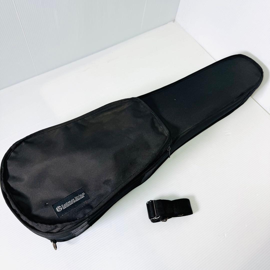 【美品】バイオリン　Andreas Eastman VL80 4/4 2015年