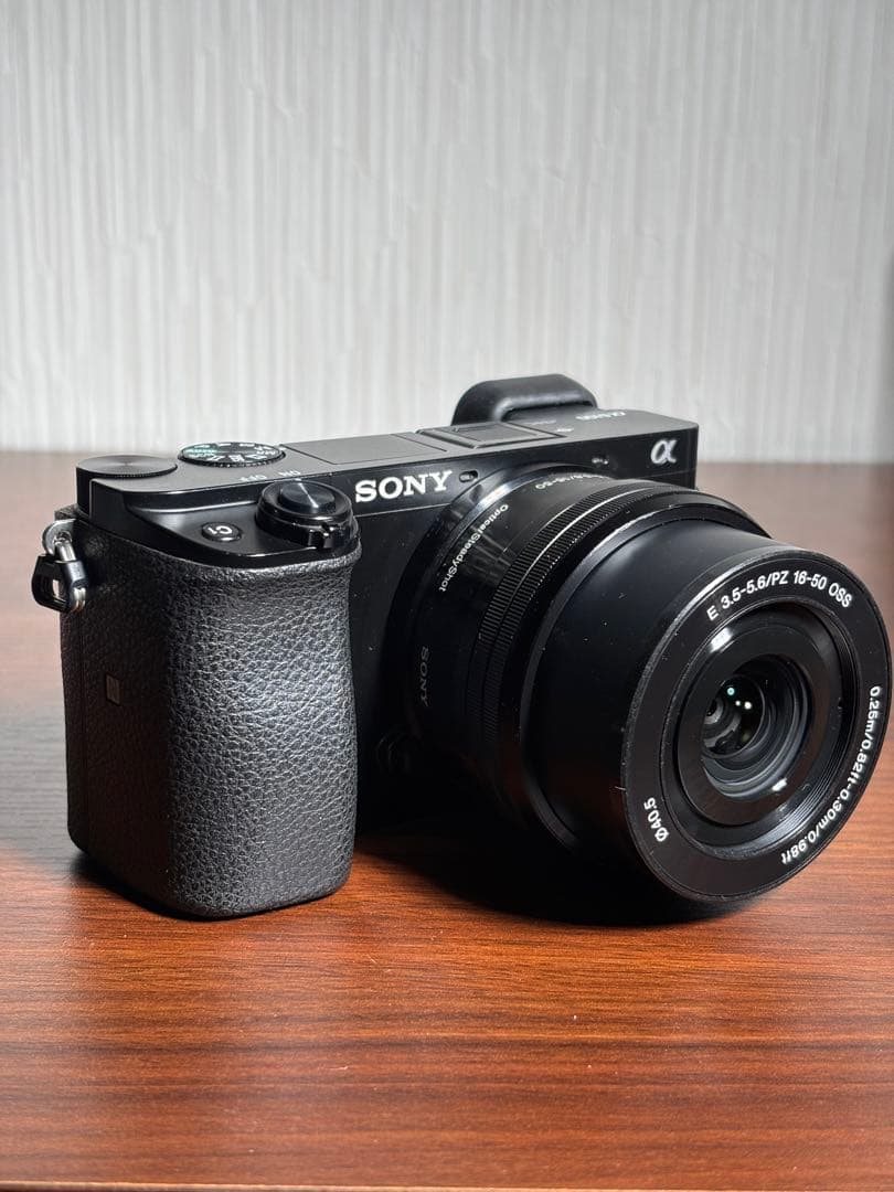 【おまけ付】SONY α6100 標準ズームレンズセット SDカード充電器セット