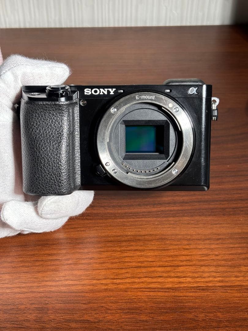 【おまけ付】SONY α6100 標準ズームレンズセット SDカード充電器セット