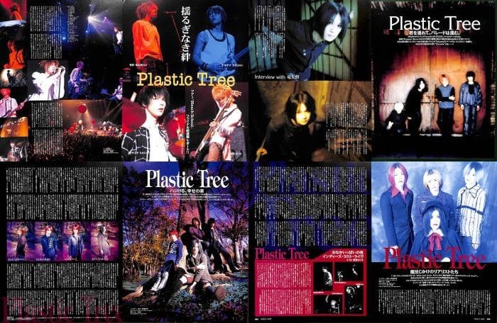 Plastic Tree 有村竜太朗 雑誌 切り抜き 302P ◆インディーズ