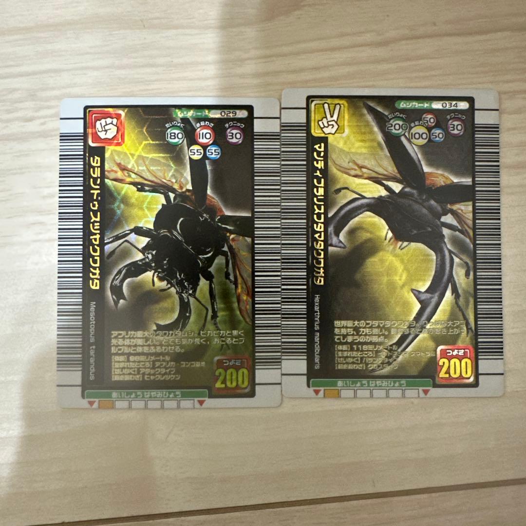 値下げ【極美品】旧ムシキング　2005夏限定デザイン　2枚セット