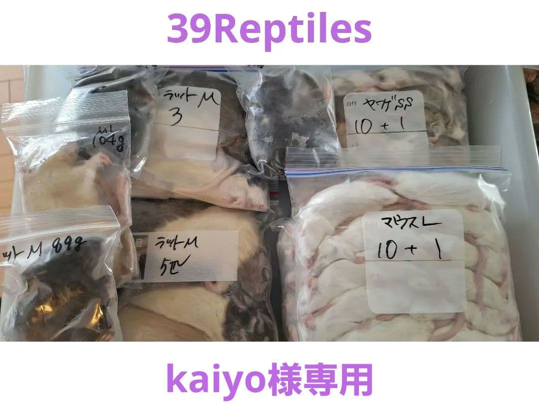 kaiyo様ヤワゲネズミss10匹マウスL20匹ラットS 10匹M10匹オマケ付