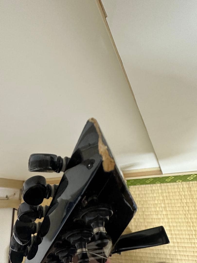 LTD（ESP） EX-400 explorer ギター メタリカ