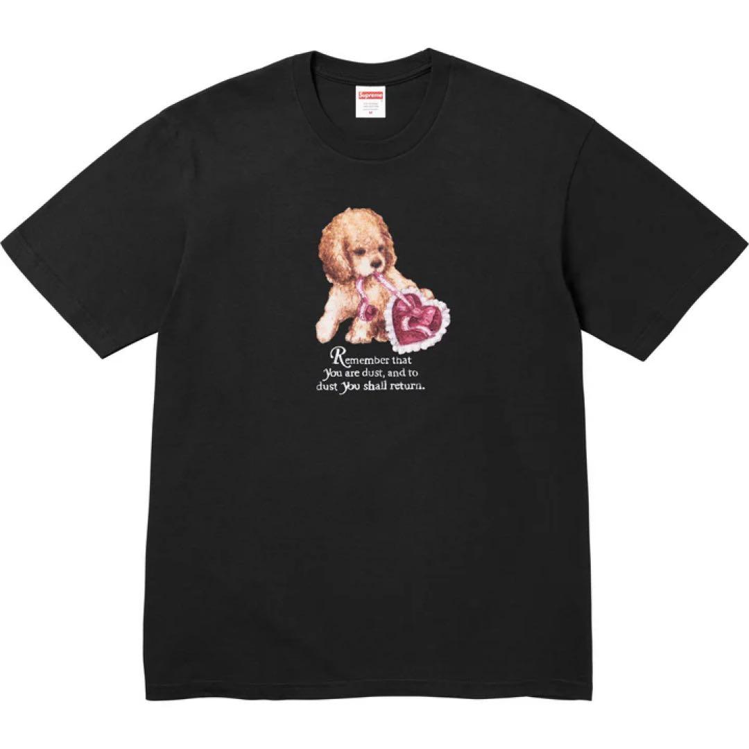 トップス Supreme Dust Tee \
