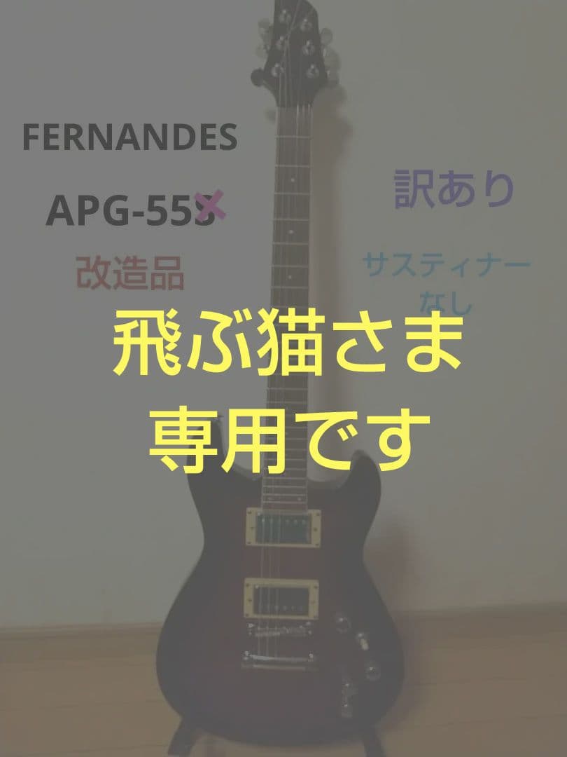 飛ぶ猫さま専用/ APG-55S 改造品/サステナーなし120サイズ