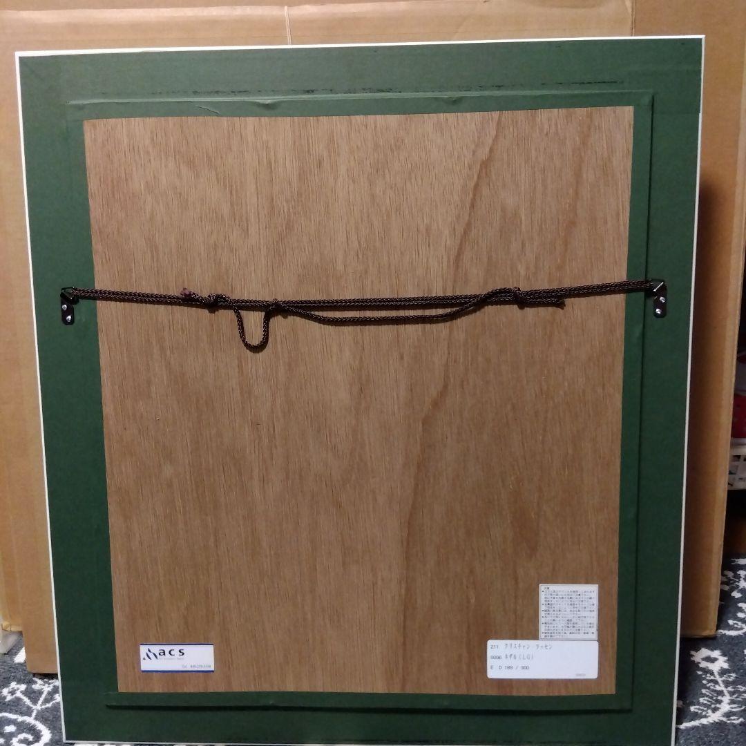 クリスチャンラッセン　ネザル　（LG）189/300