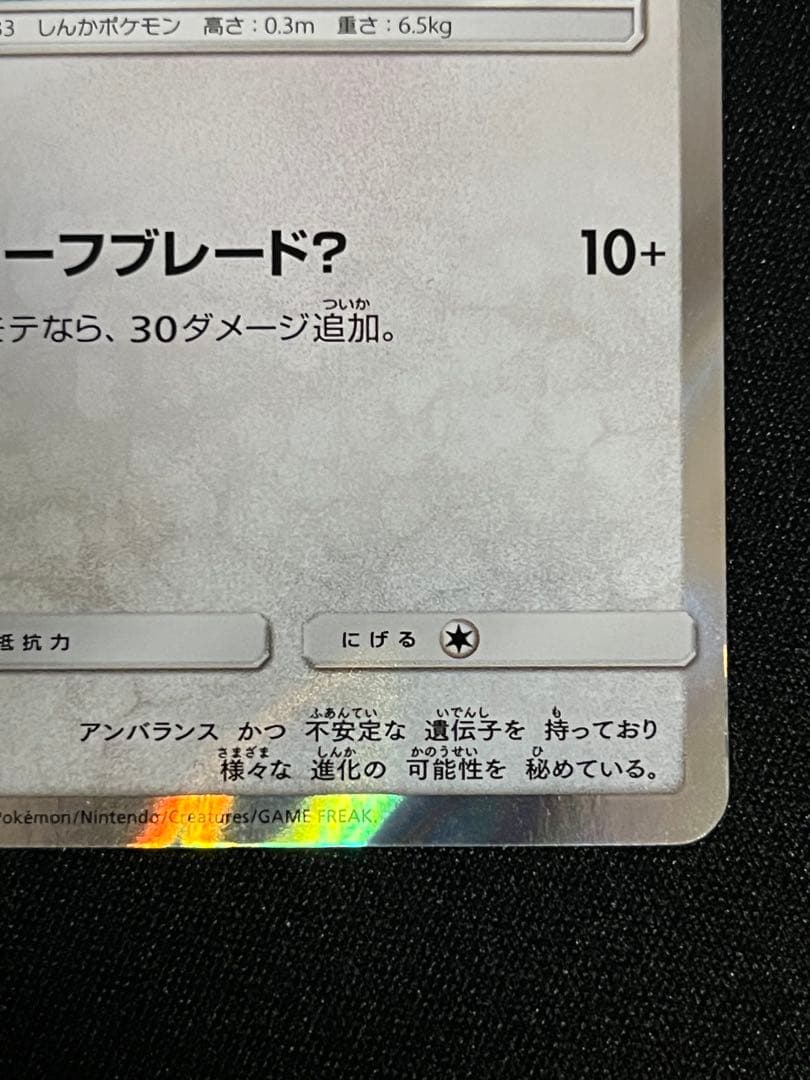 ポンチョを着たイーブイ リーフィア