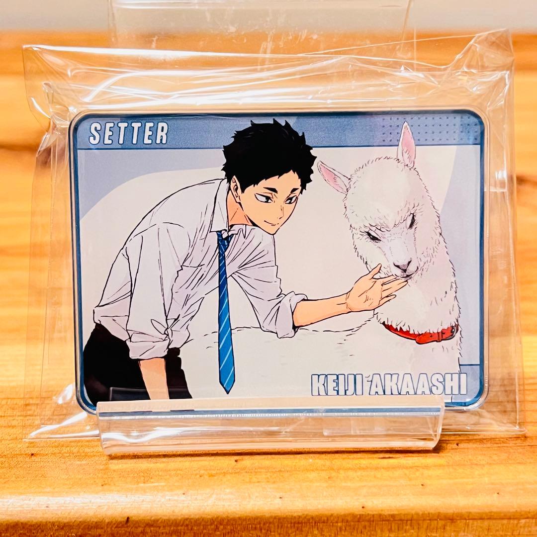 018【新品】ハイキュー 木兎 光太郎 赤葦 京治 東武動物公園 特典 非売品