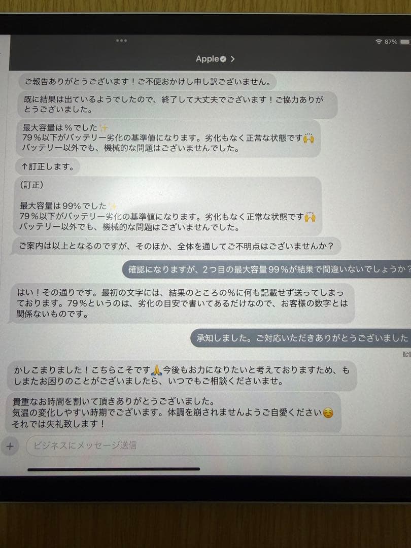 【Chaser Dream】iPad pro11インチ256GB 第2世代