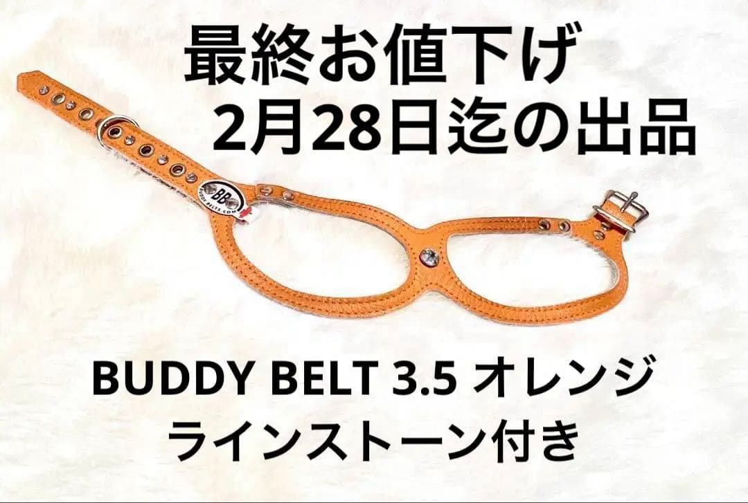 BUDDY BELT 3.5 オレンジラインストーン付き