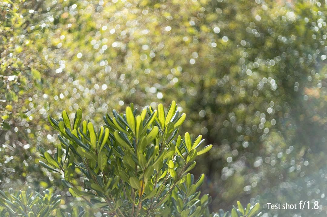 【美品】キヤノン Canon EF 50mm F1.8 II