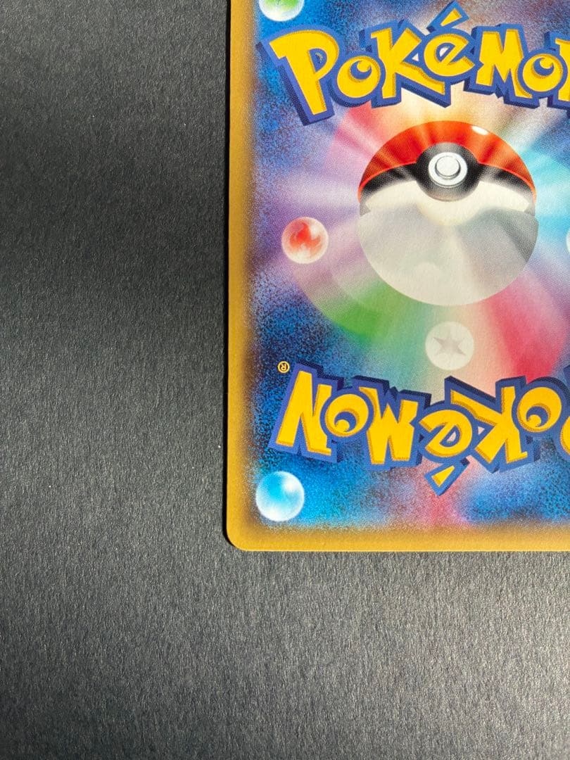 ポンチョを着たピカチュウ みく@ぷろふ確認お願いします専用