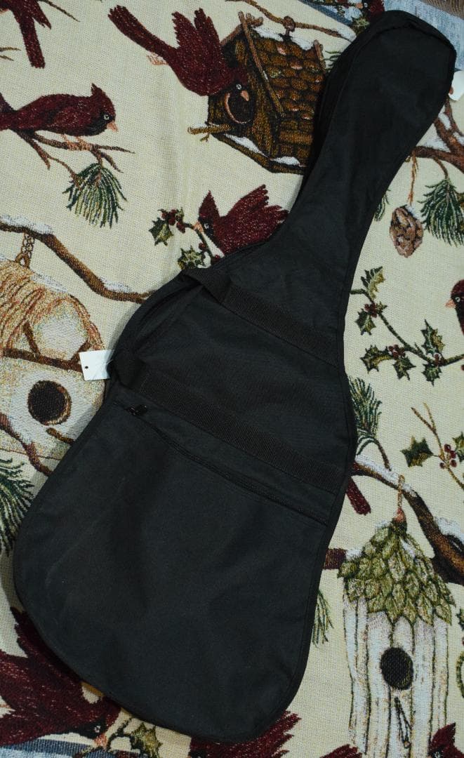 ベース Fernandes LIMITED EDITION RPB-50