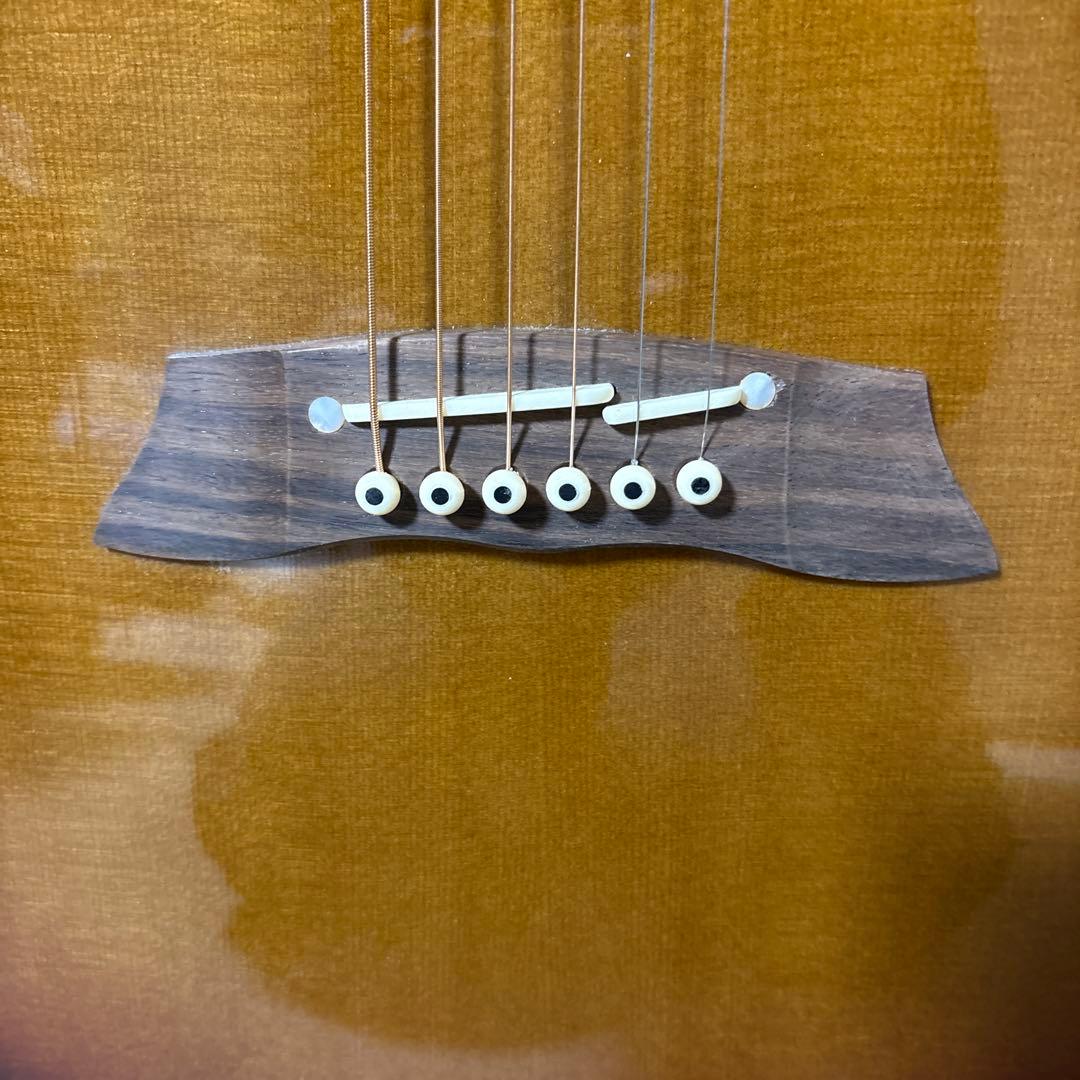 【未使用・人気】TAKAMINE TSP138C TB タカミネ　薄胴エレアコ