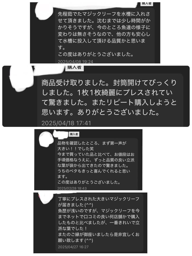 沖縄県やんばる産マジックリーフ 1kg UV殺菌灯照射済み②