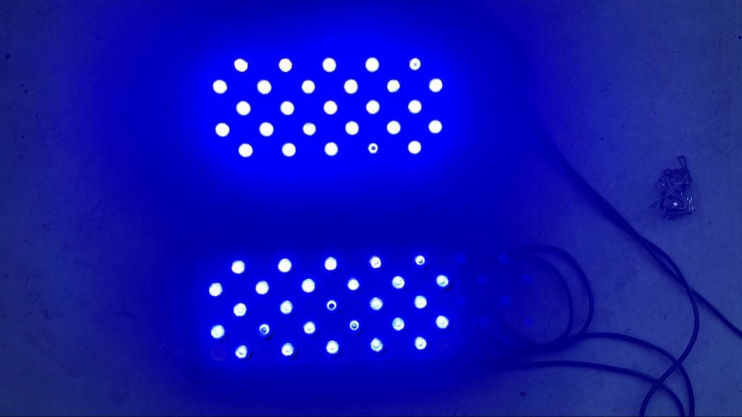 フルスペクトルLED照明　ブラックボックス2個セット