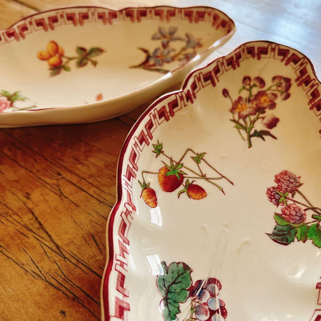 B サルグミンヌU&Cie 美しいフルーツと花のラヴィエ