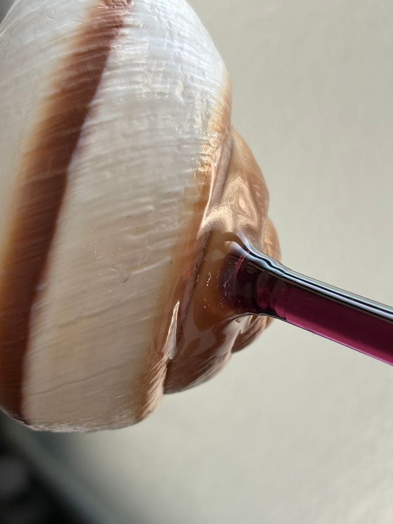 シェルグラス インテリア アクセサリースタンド