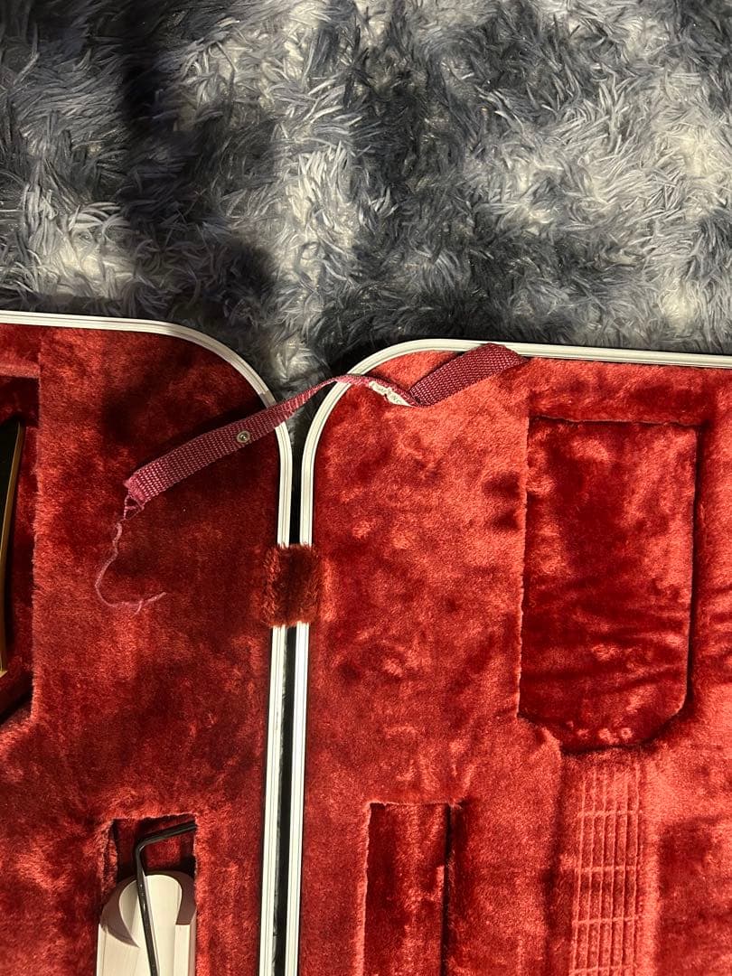 Ibanez RG2550Z-GK エレキギター ブラック ケース付き