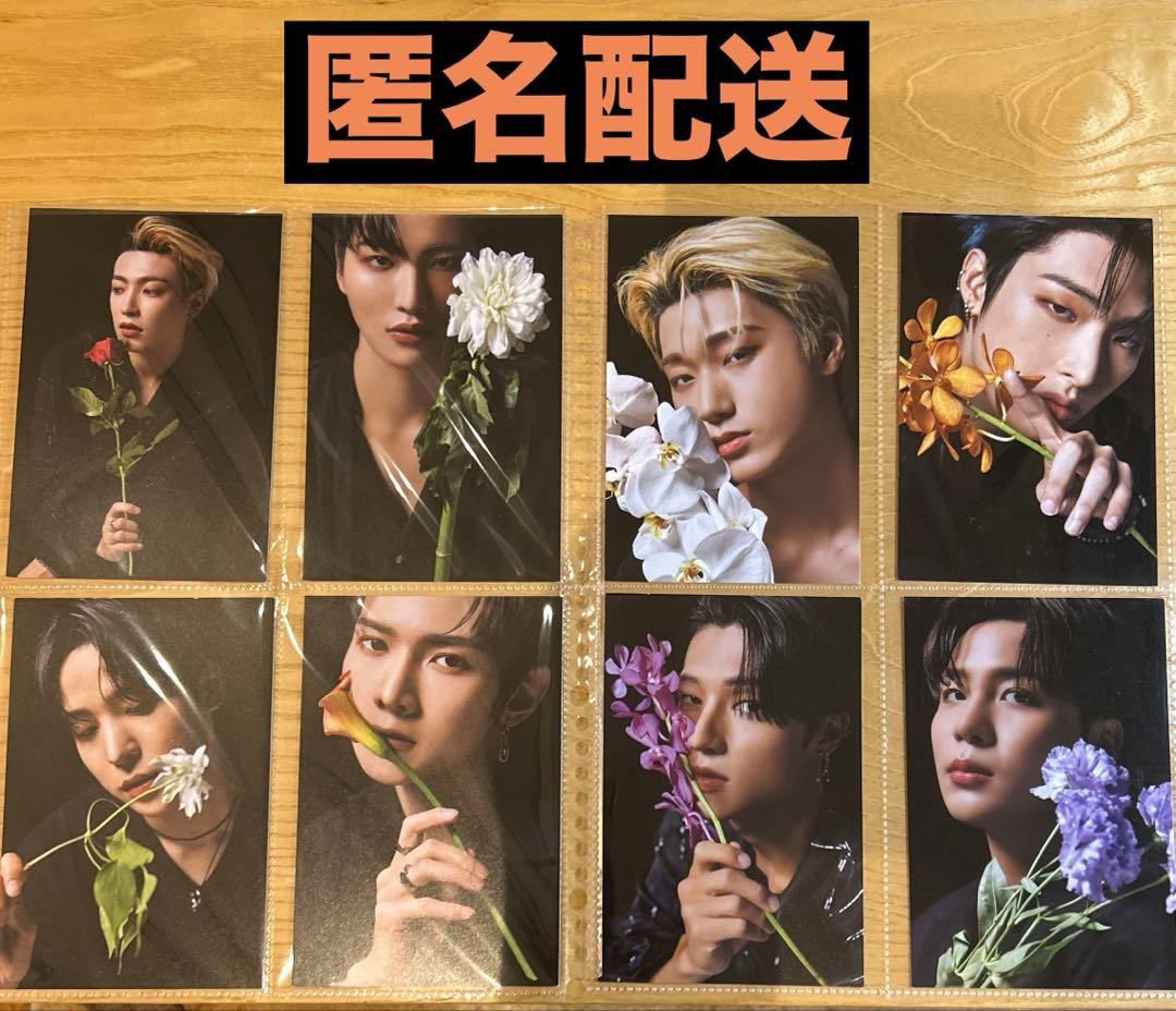 ATEEZ scawaii ポストカード コンプ 8枚セット