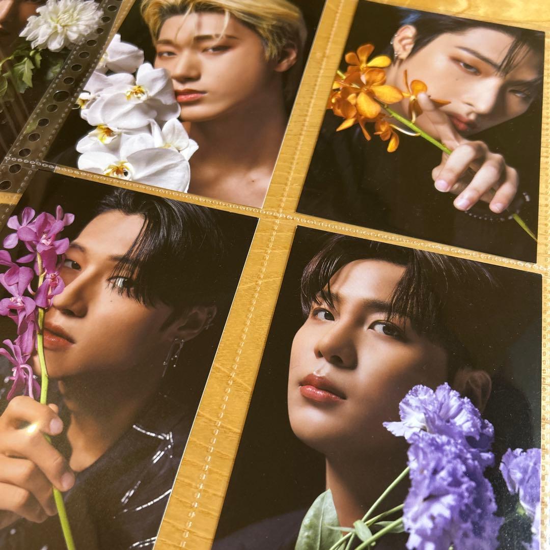 ATEEZ scawaii ポストカード コンプ 8枚セット