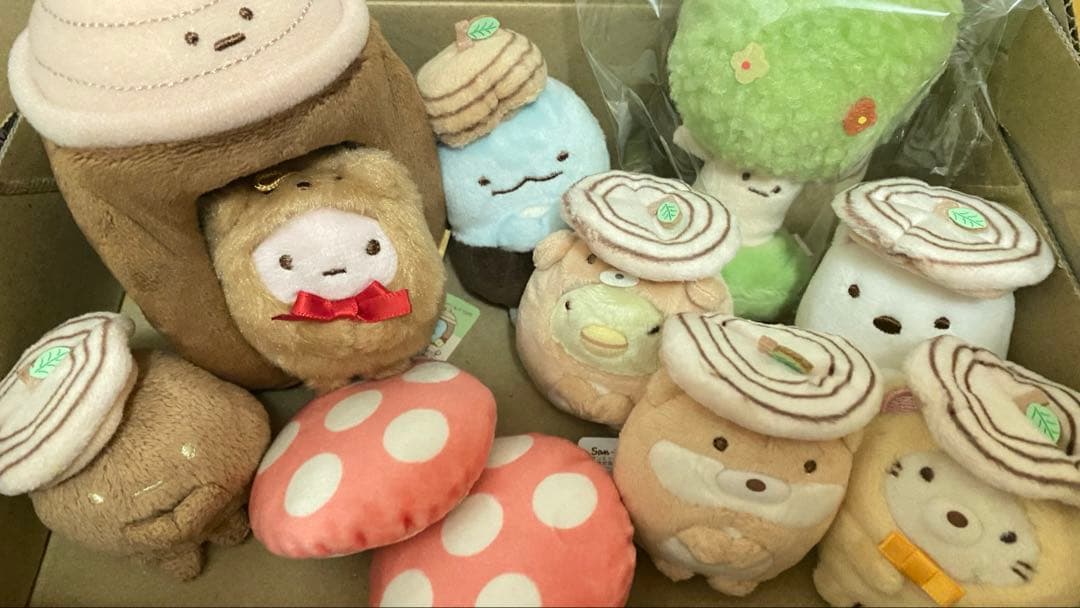 すみっコぐらし ぬいぐるみ どんぐり きのこ セット